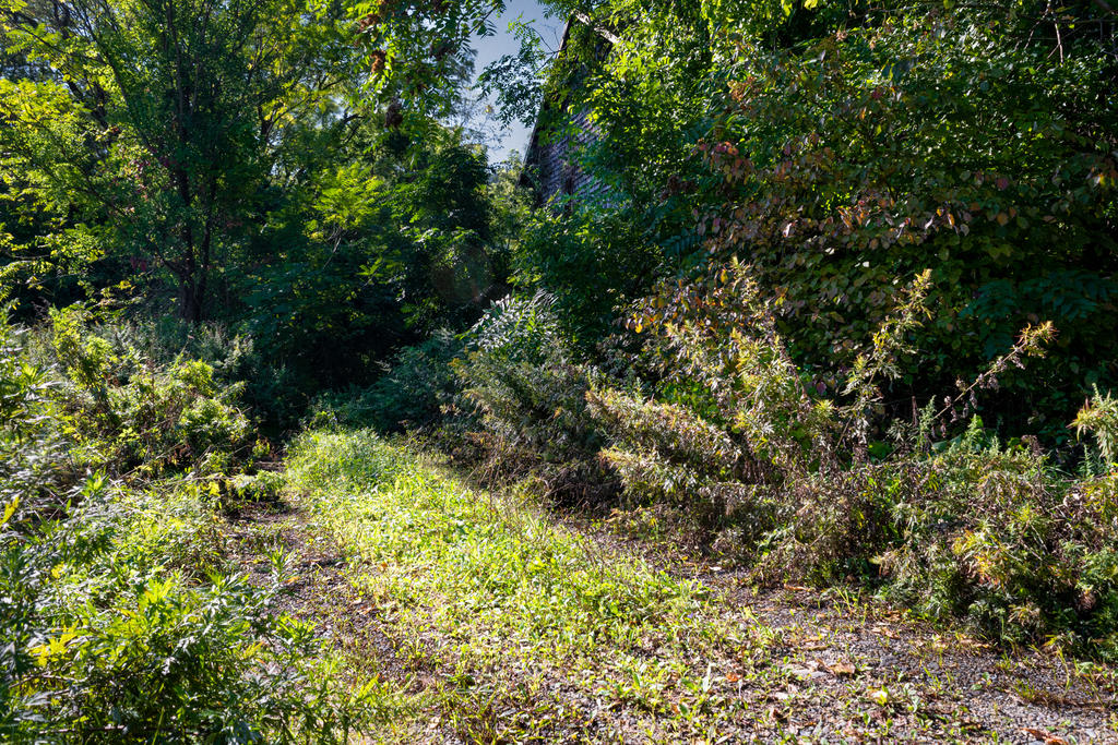 Dirt Road Image Avg 3-1.jpg