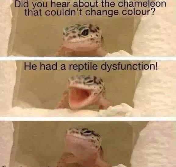 disf.jpg