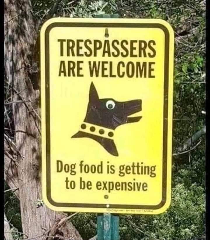 dog.jpg