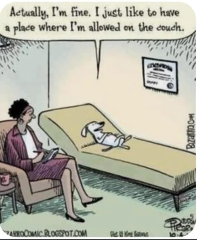 Dog Therapy jpg.jpg
