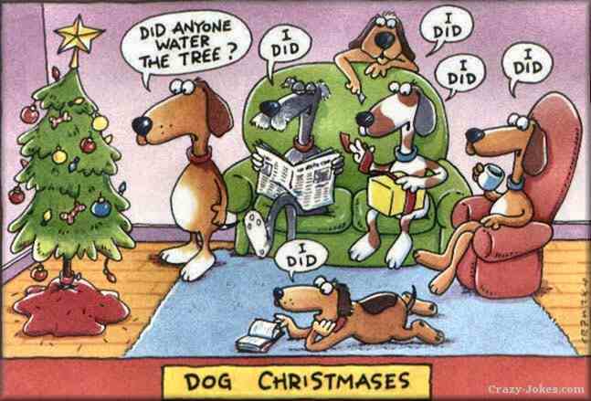 dog_tr10.jpg