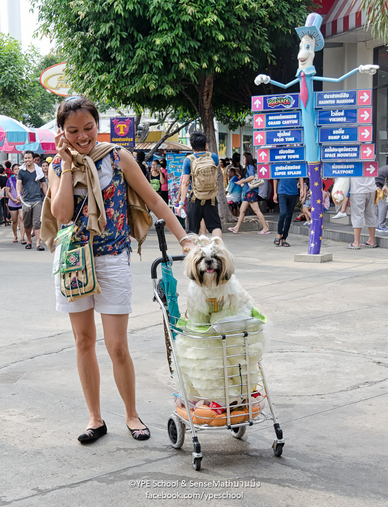 doggy-1.jpg