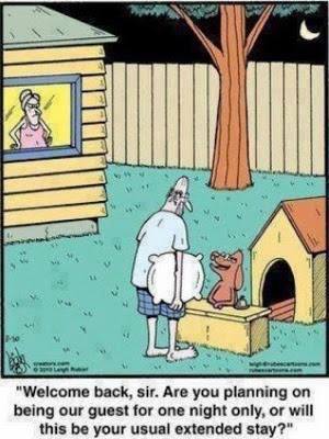 doghouse.jpg