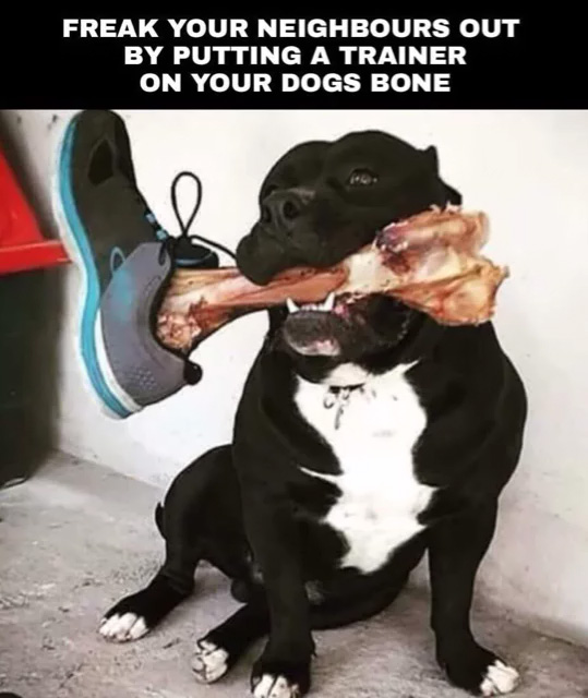 dogleg.jpg