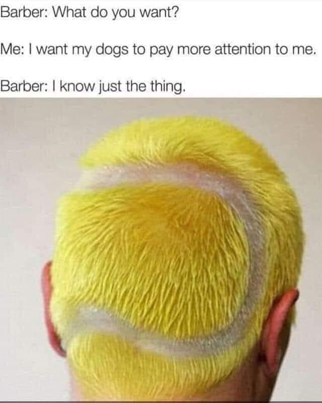 dogs.jpg