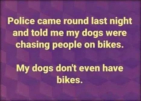 dogs-on-bikes-meme.jpg