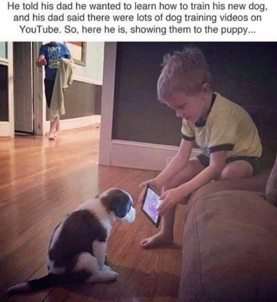 Dogtraining.jpg