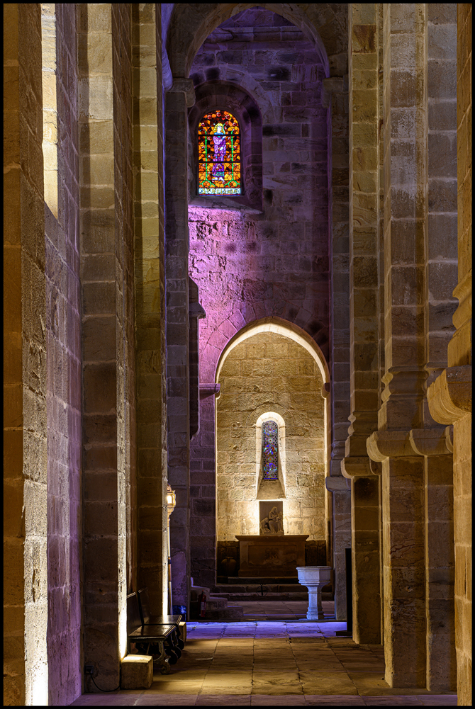 dominique_robert_ (7).jpg