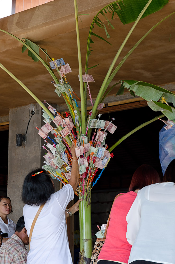 donationtree3-1.jpg