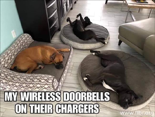 doorbells.jpg