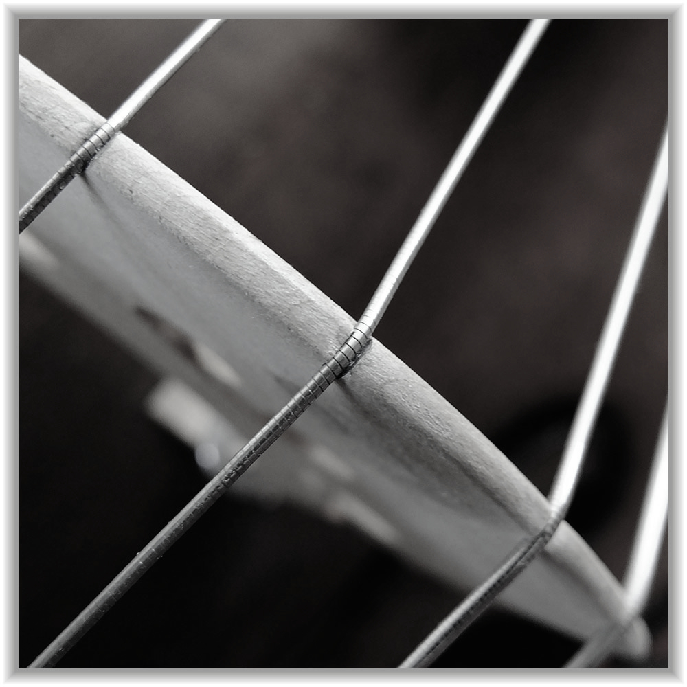Double bass strings - copie.jpg
