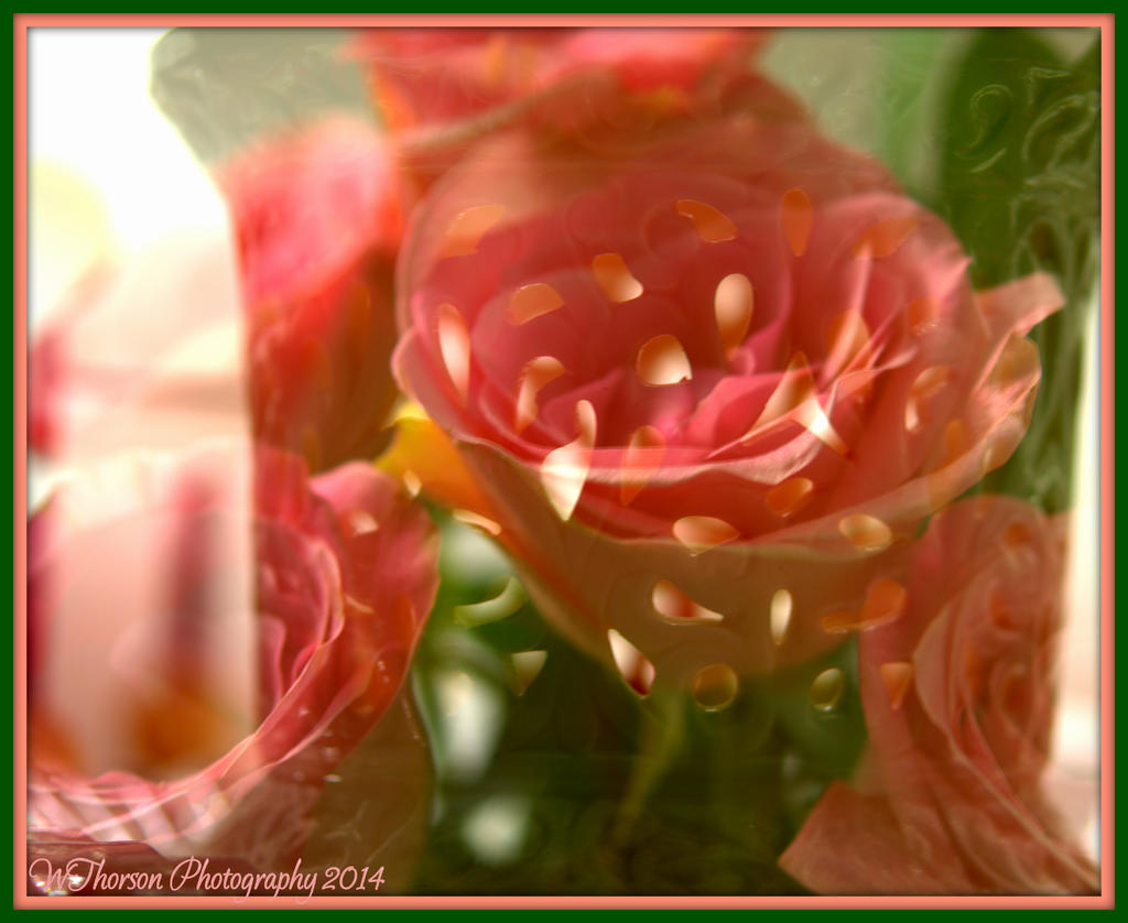 Double Exposure Rose and Vase.jpg