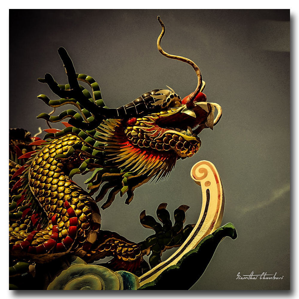 dragon-1.jpg