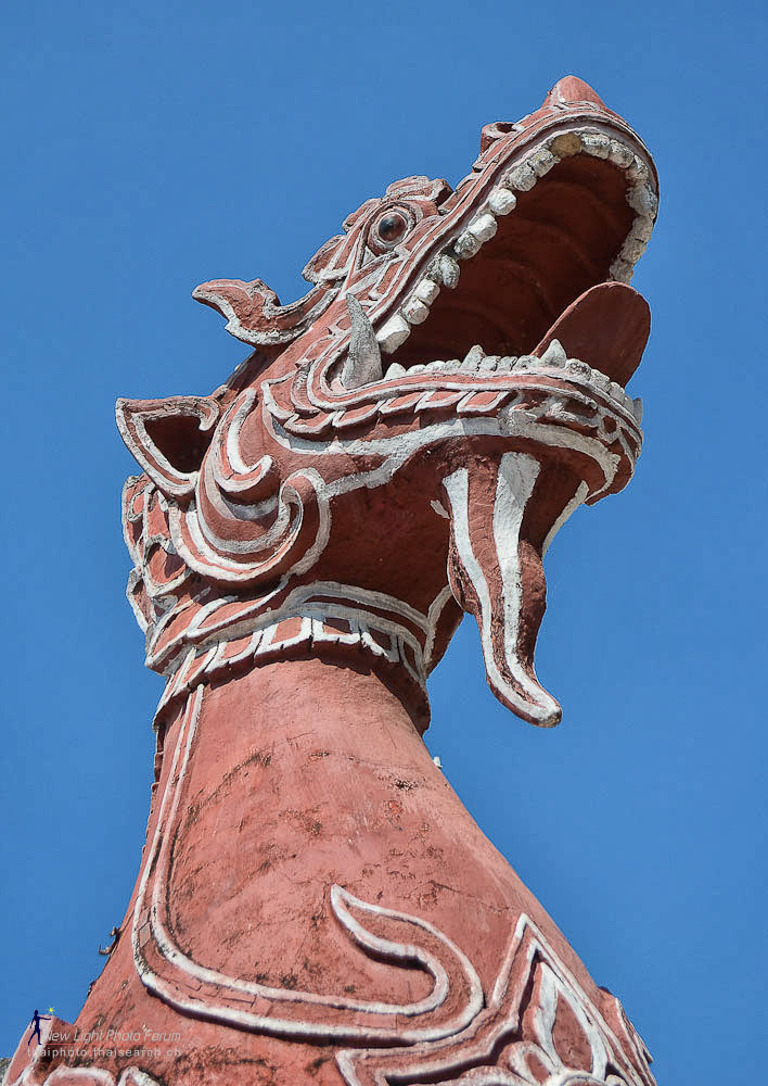 dragon-1.jpg