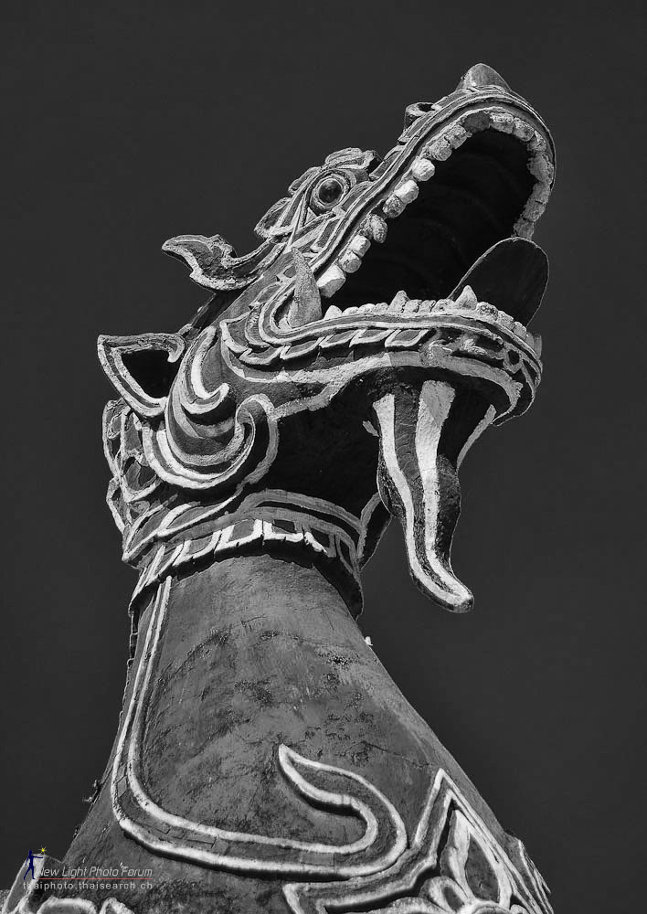 dragon-2.jpg