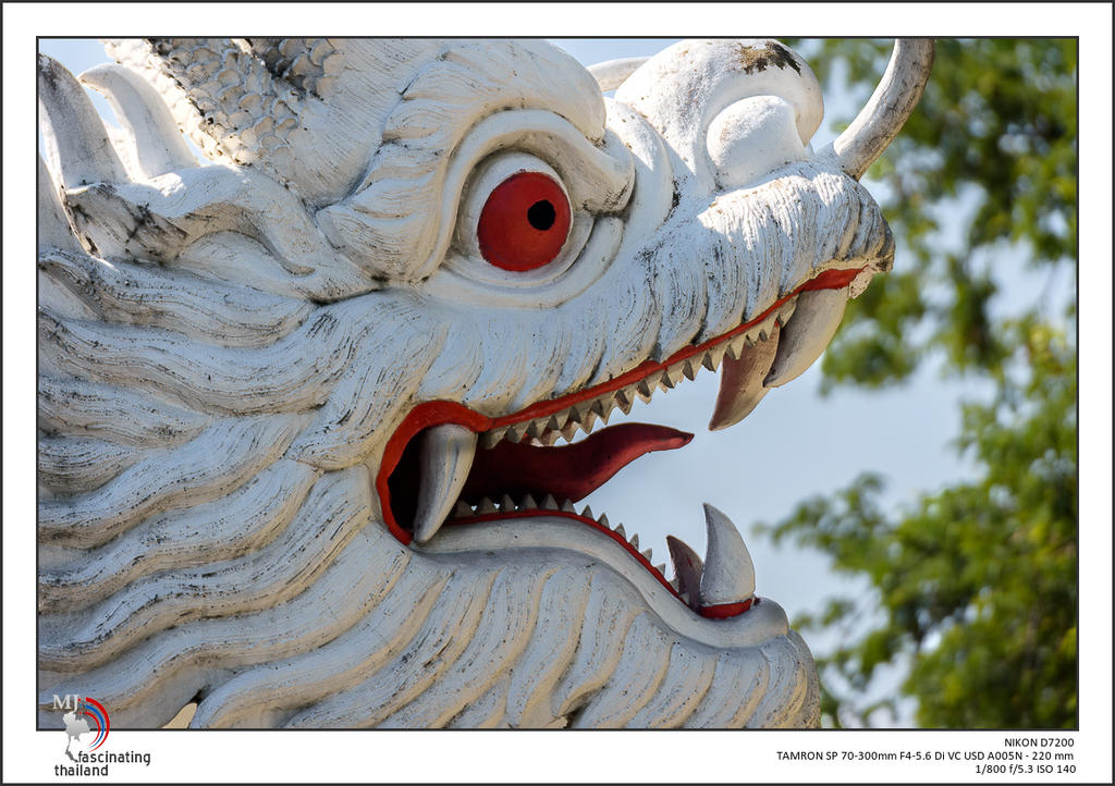 dragon-head.jpg