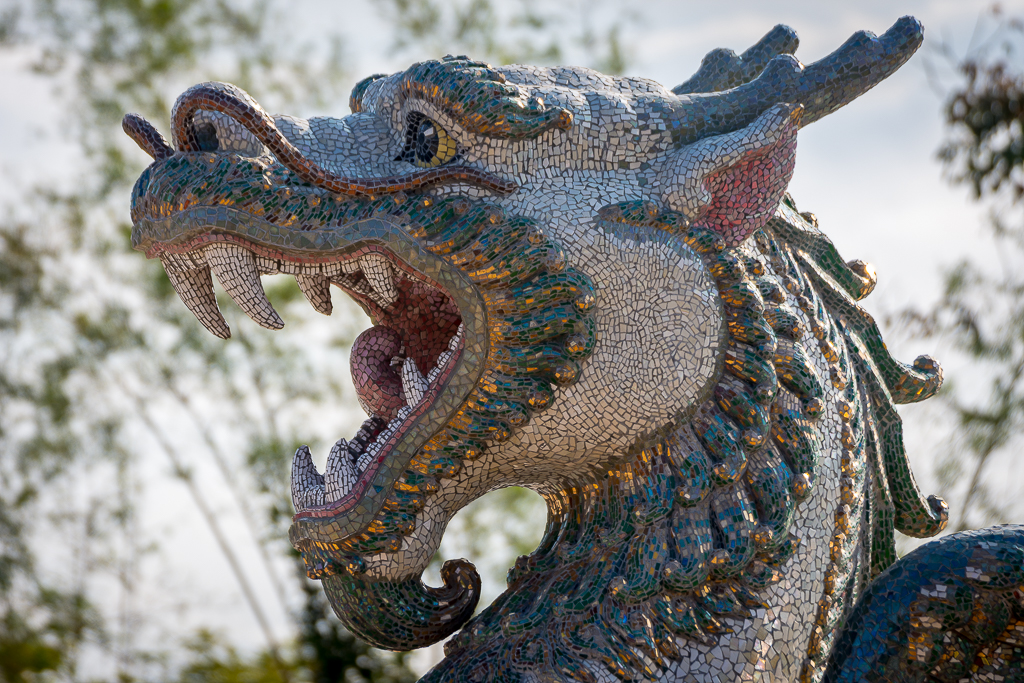 dragon-lion-2.jpg