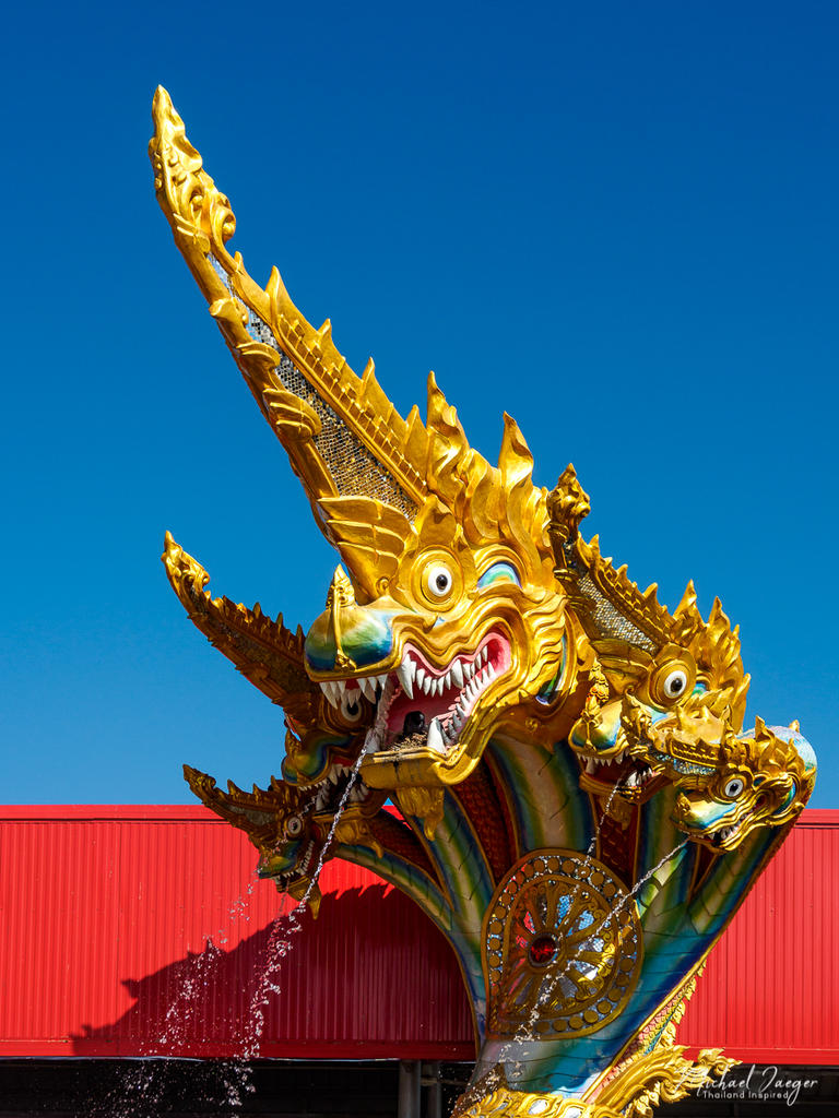 dragonhead-1.jpg