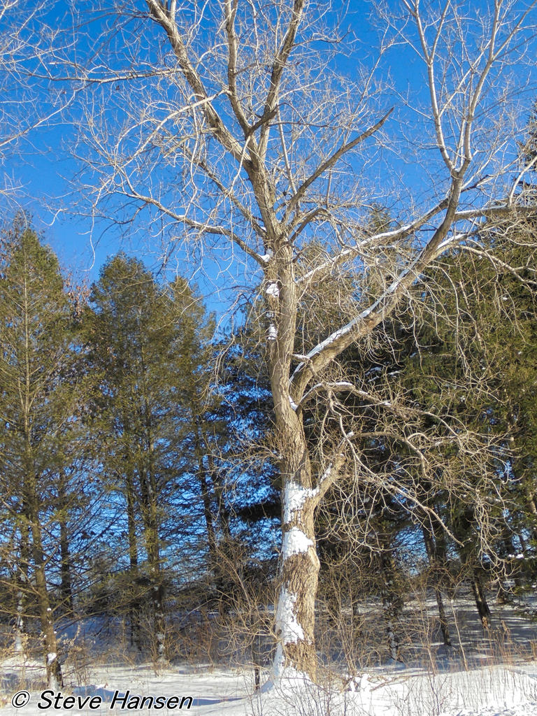 DSC00189.jpg