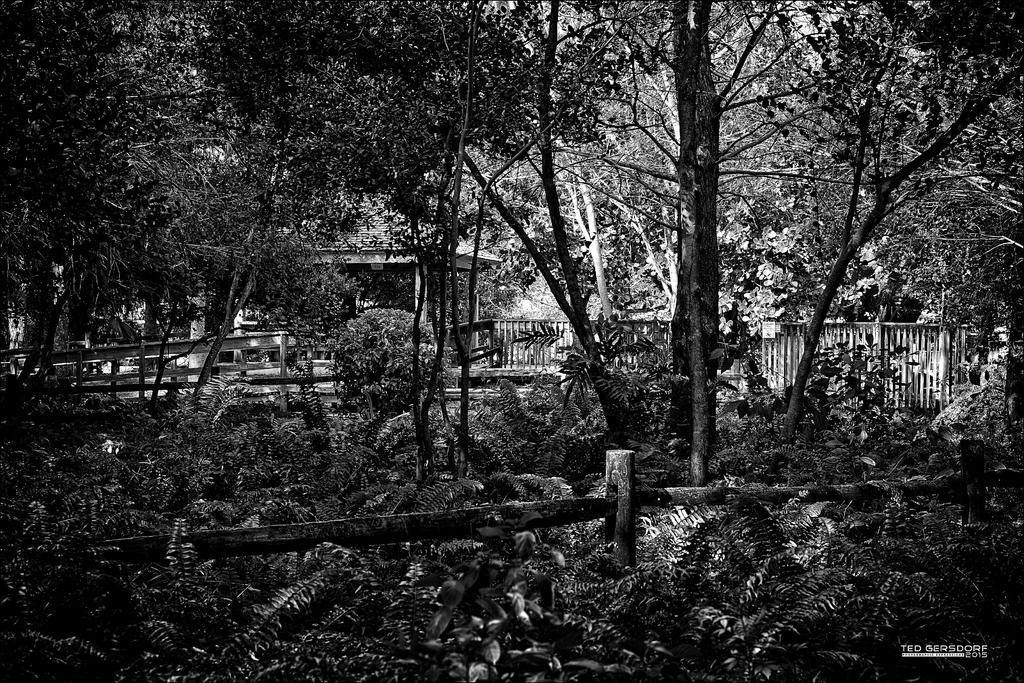DSC00786 copy.jpg
