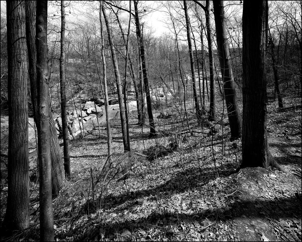 DSC02414bw.jpg
