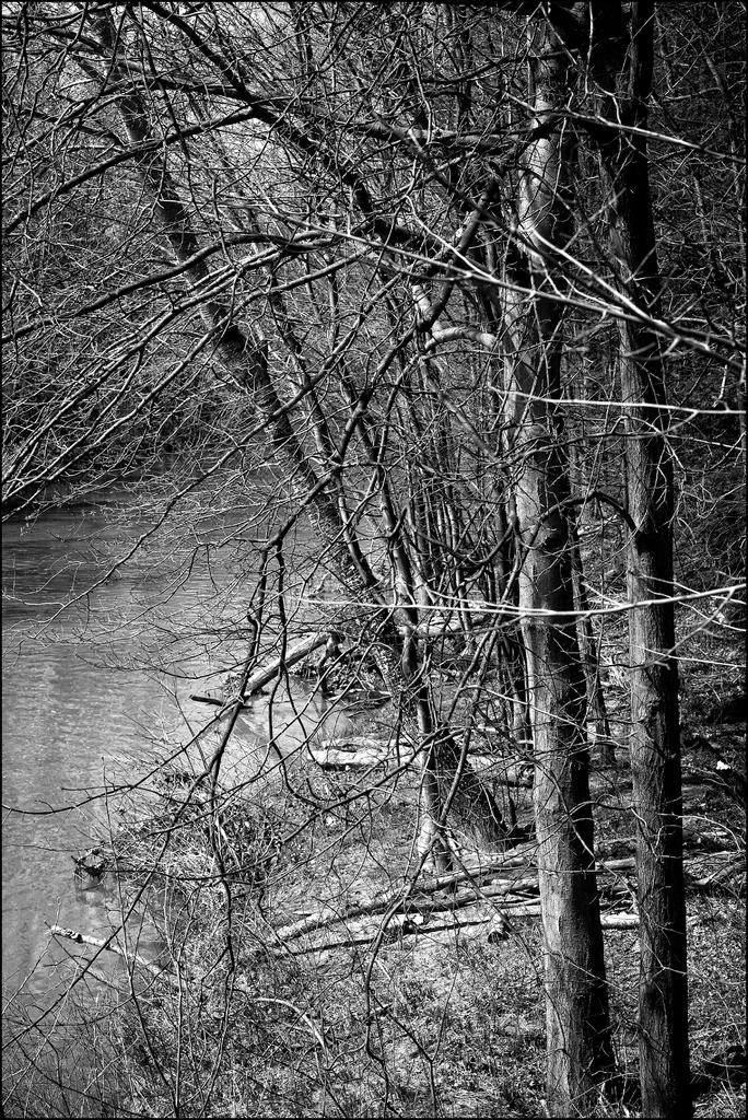 DSC02455bw.jpg