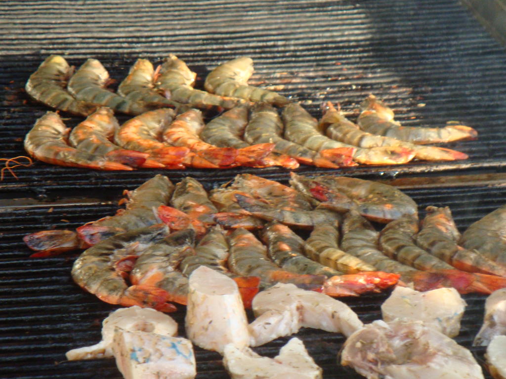 DSC08657.jpg