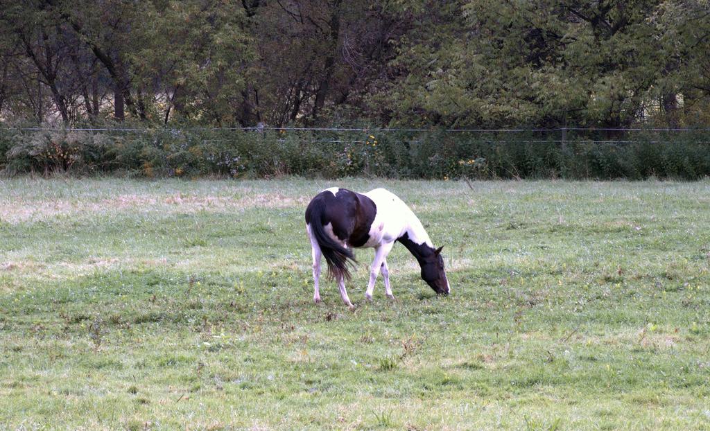 DSC_0001.jpg