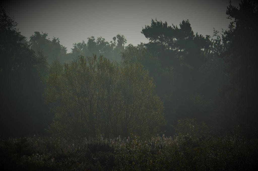 DSC_0001.jpg