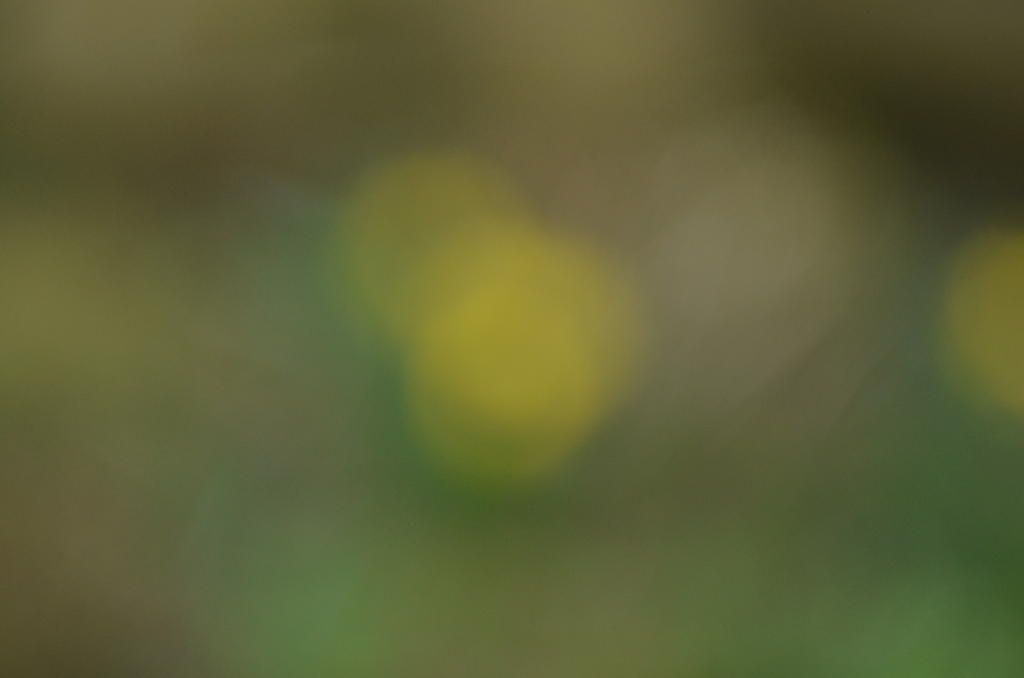 DSC_0001.jpg