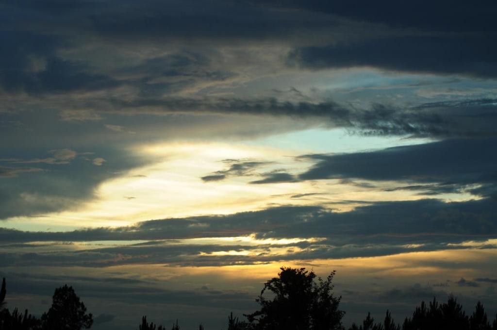 dsc_0001_284693_original.jpg