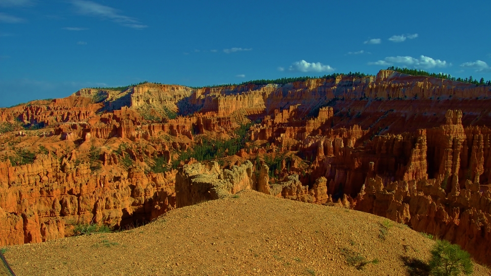 DSC_0002 (1000x563).jpg