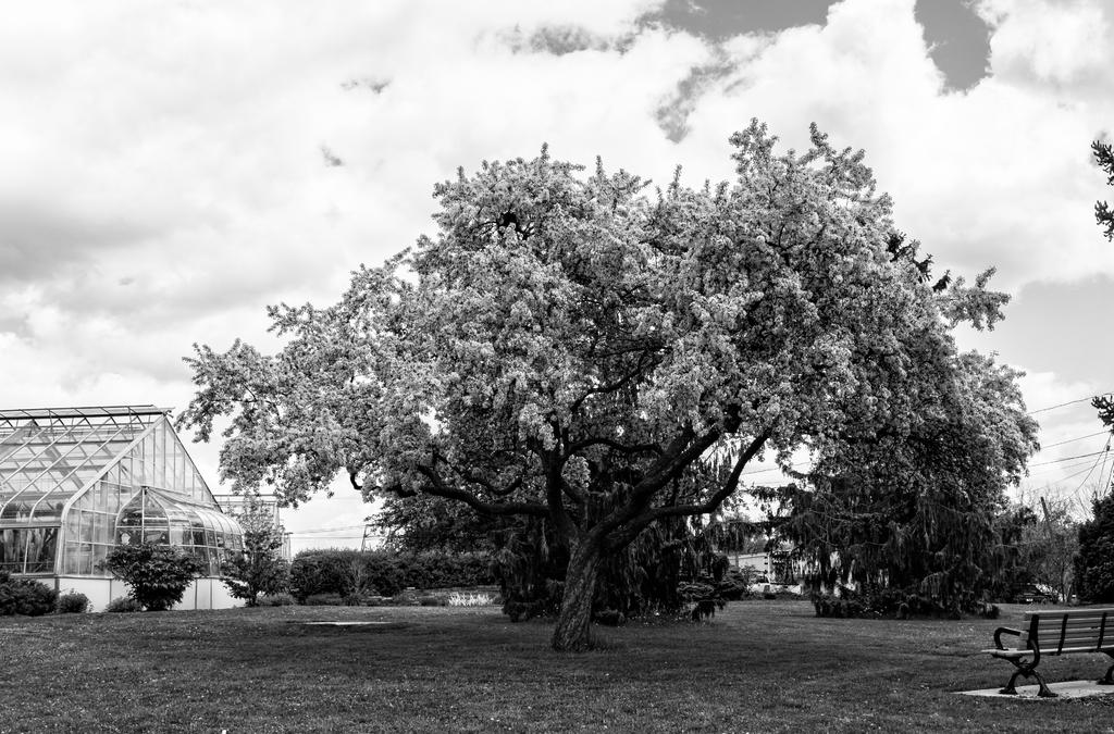 DSC_0002_DxO-2.jpg