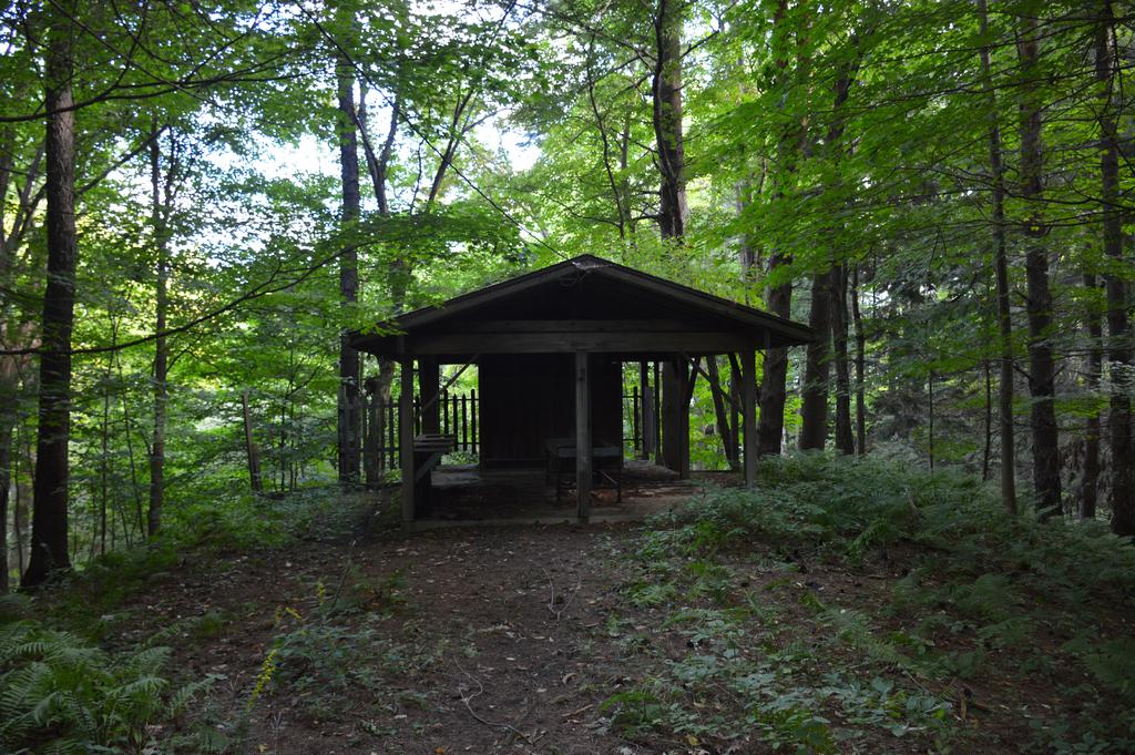 DSC_0003.jpg