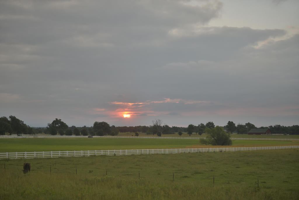 DSC_0003.jpg