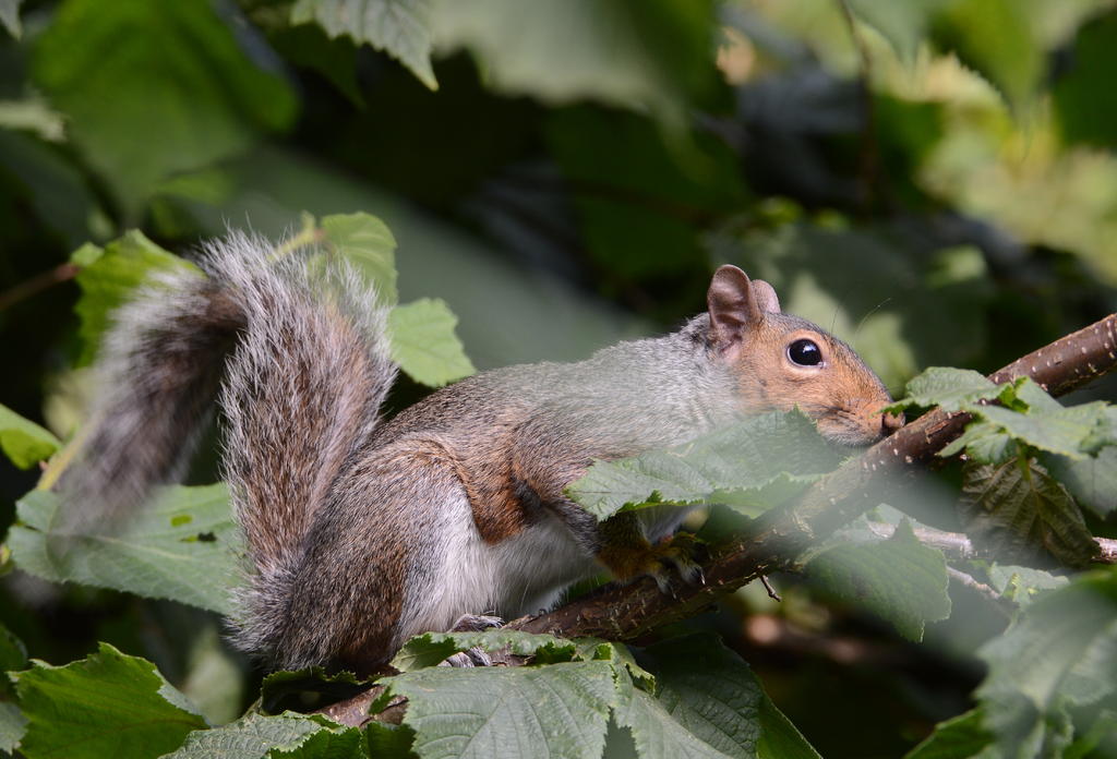 DSC_0003.jpg