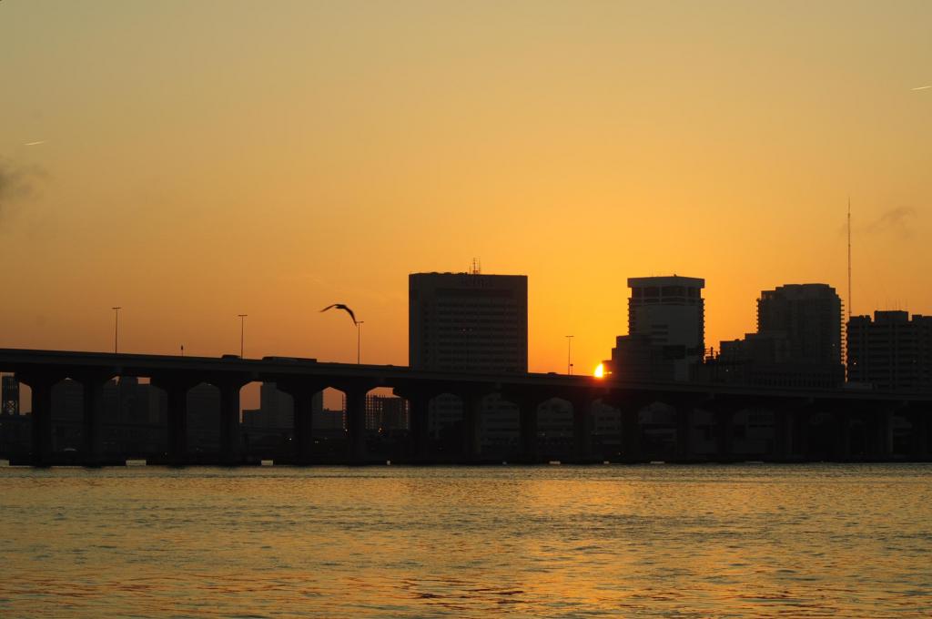 DSC_0003.jpg
