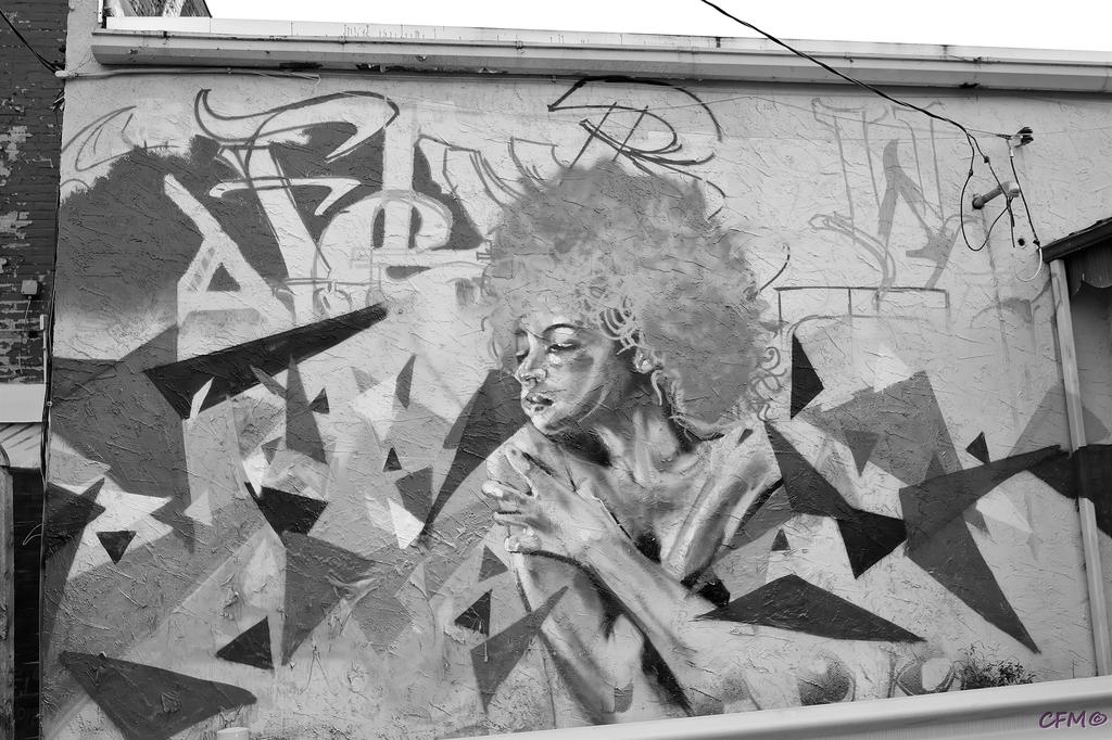 DSC_0003 nxd.jpg