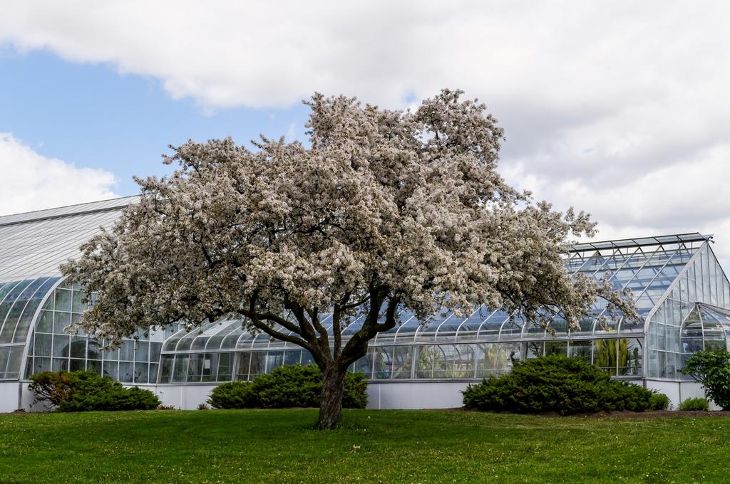 DSC_0003_DxO.jpg
