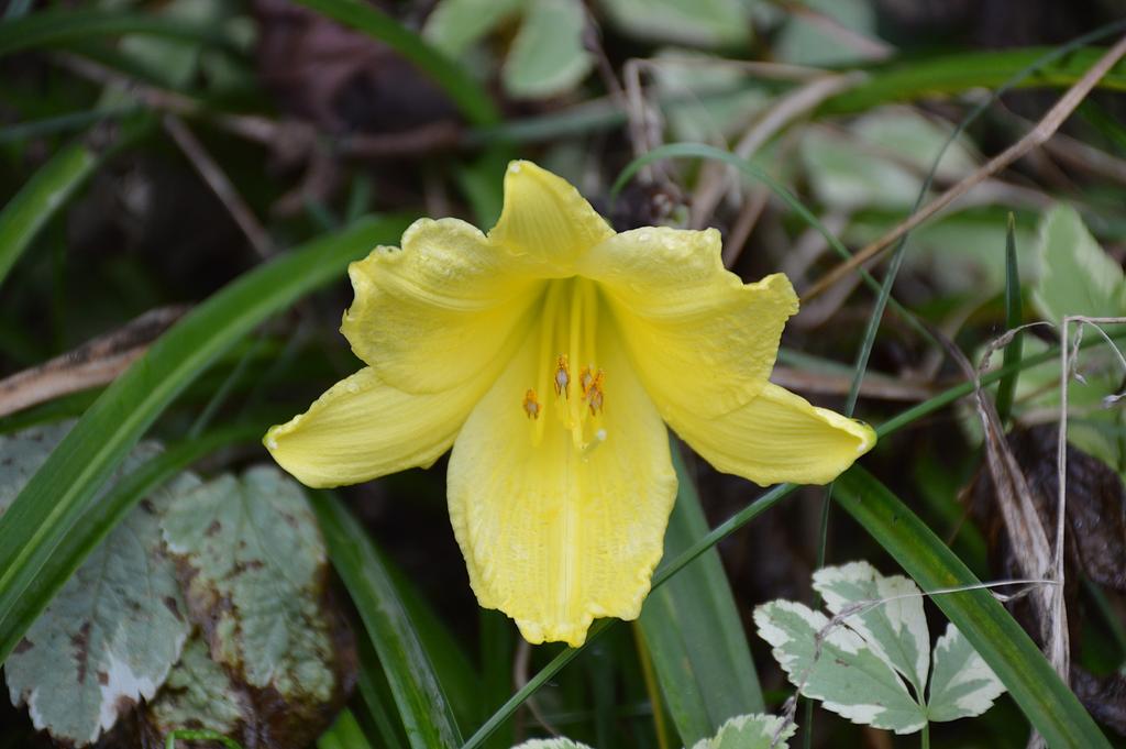 DSC_0004.jpg
