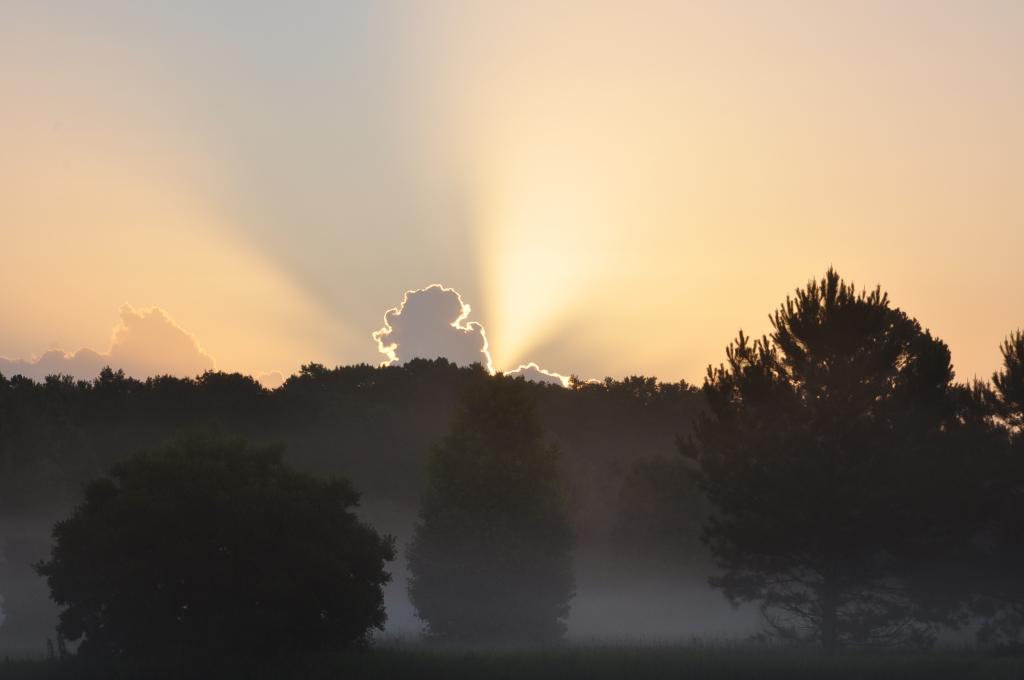 DSC_0004.jpg
