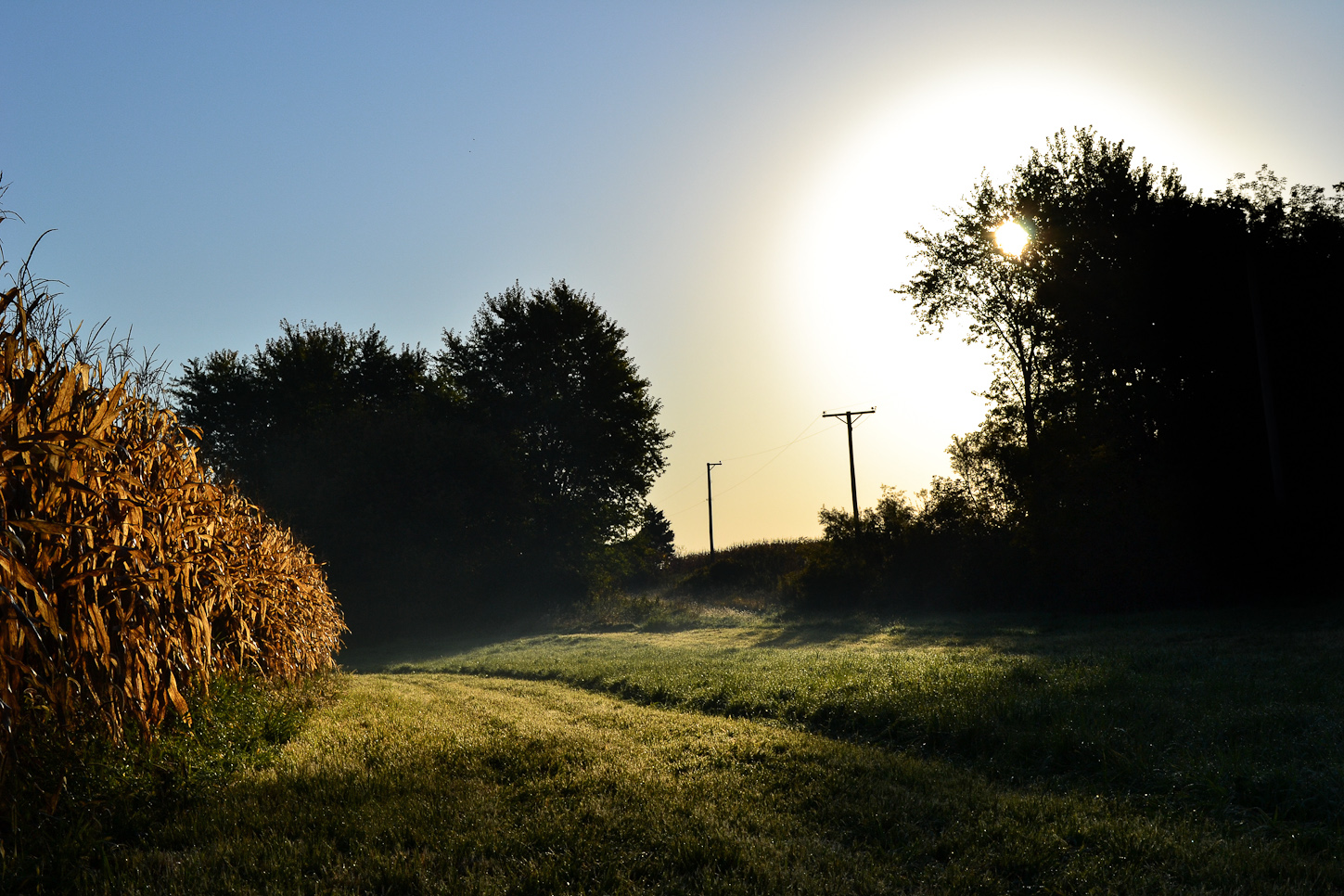 DSC_0005 (2)-3.jpg