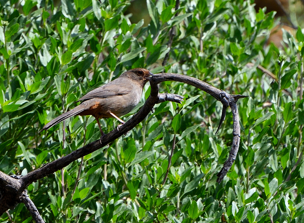 DSC_0005.JPG