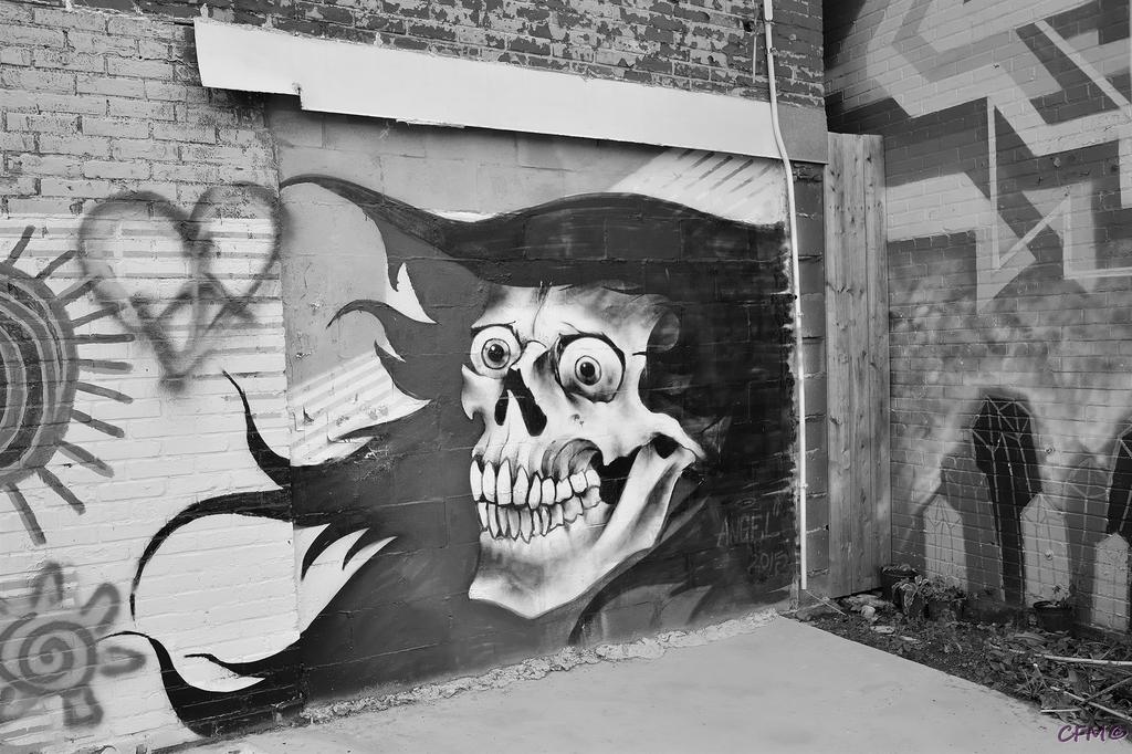 DSC_0005 nxd.jpg