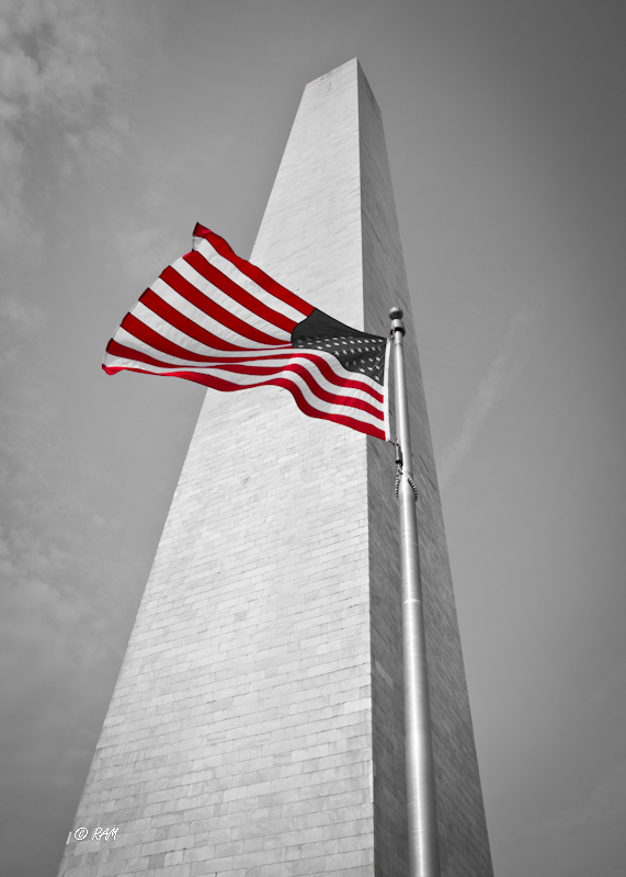 DSC_0005_441.jpg