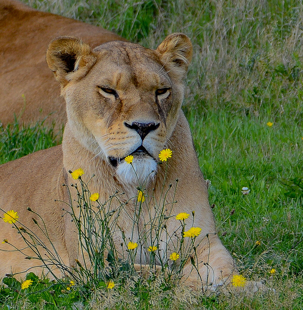 DSC_0006.jpg