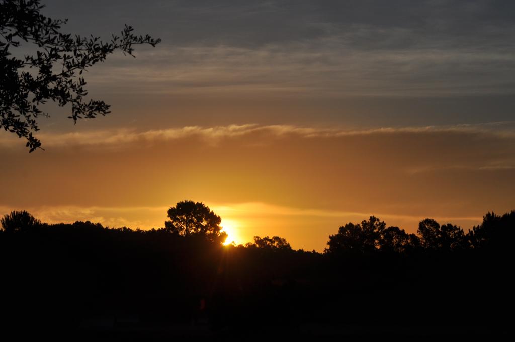 DSC_0006.jpg