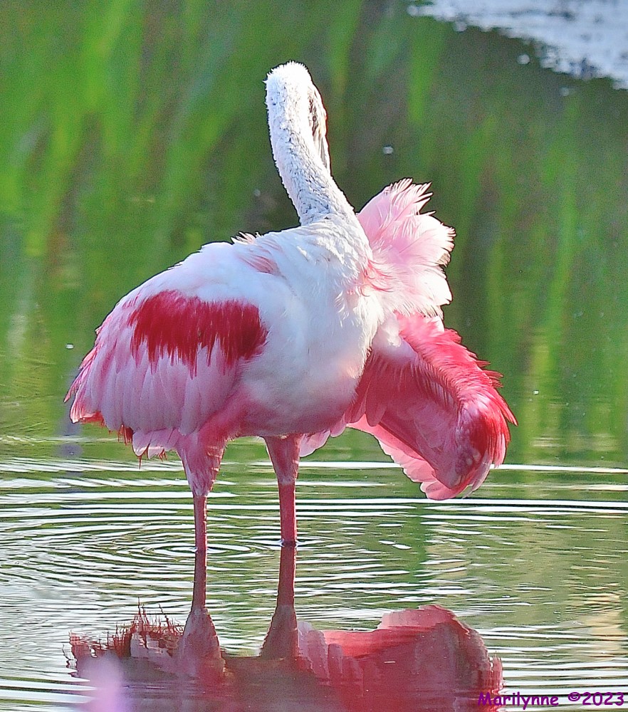 DSC_0006_001.JPG