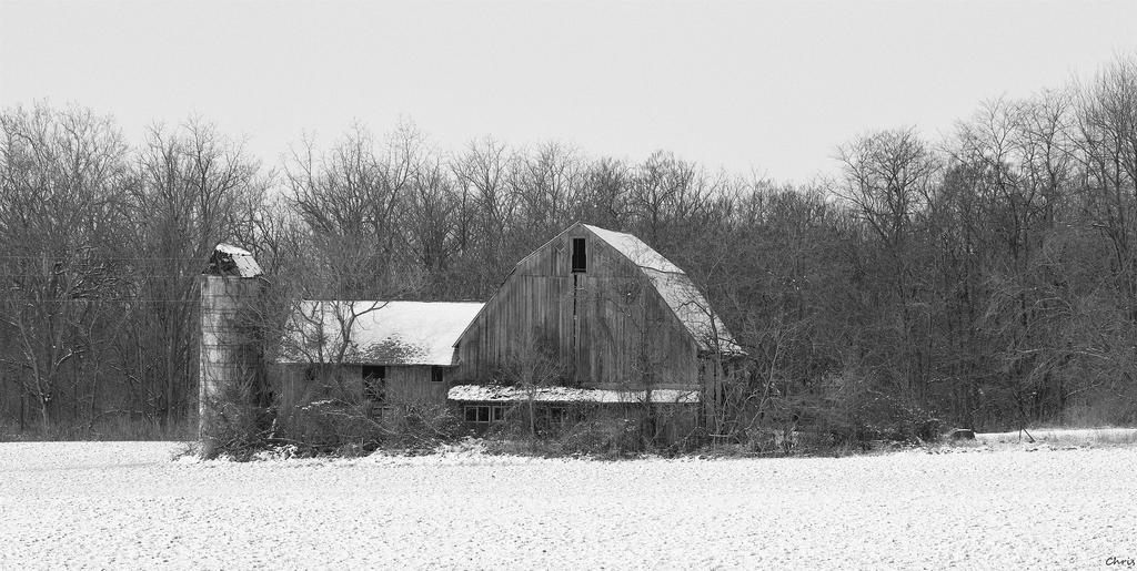 DSC_0006_01.jpg