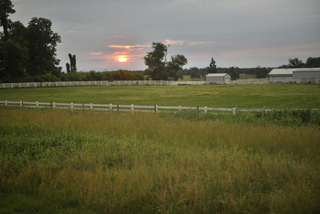 DSC_0007.jpg